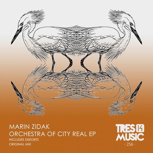 Marin Zidak – ORCHESTRA OF CITY REAL EP [TRES14256]